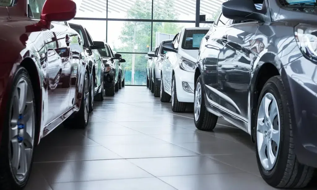 أكبر مستوردي السيارات في عام 2025