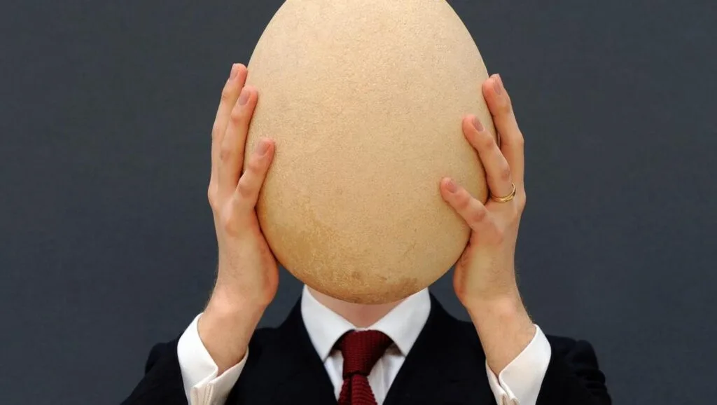 أنواع البيض التي تُباع بأسعار خيالية حول العالم - صورة 2