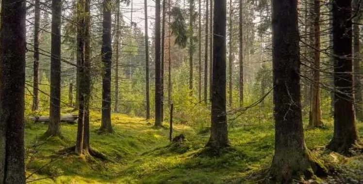 تحدَّ بصرك: 10 صور خداع بصري لا يكتشفها الجميع - صورة 6
