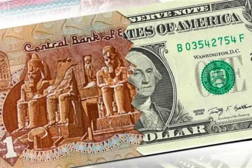 بعد تعويم الجنيه ورفع الفائدة.. ما حجم التحديات الاقتصادية التي تواجهها مصر؟