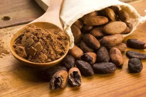 أكثر 10 دول إنتاجاً للكاكاو على مستوى العالم