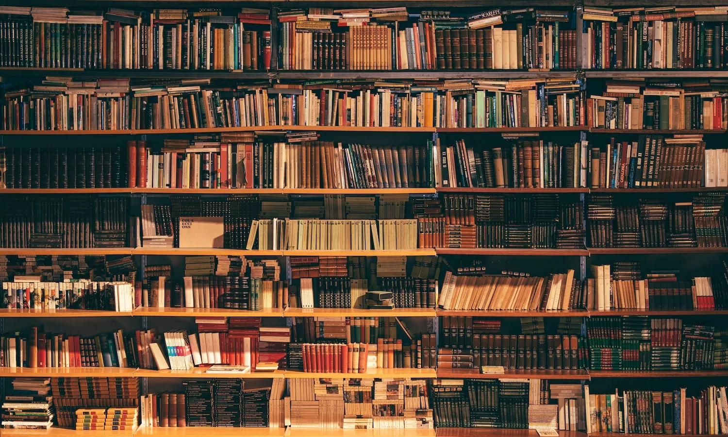 أفضل 4 كتب لزيادة الإنتاجية ينبغي أن تقرأها