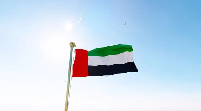 حجب 1117 موقعًا إلكترونيًا في الإمارات بسبب انتهاكات حقوق الملكية الفكرية