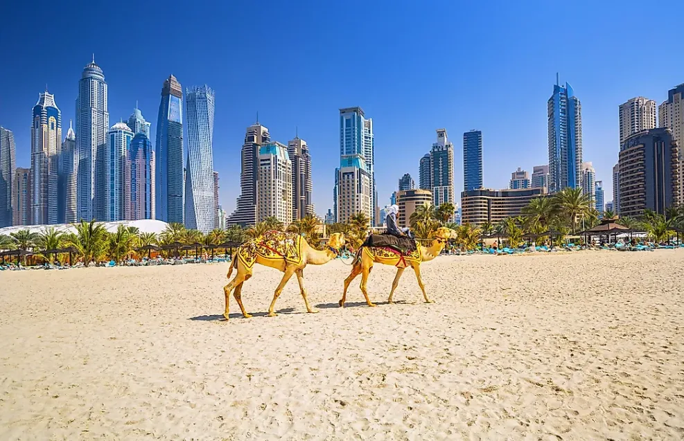 أغنى 10 دول في قارة اسيا - صورة 3