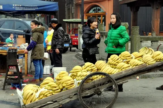 أعلى 10 دول في إنتاج الموز - صورة 2