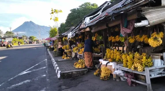 أعلى 10 دول في إنتاج الموز - صورة 3