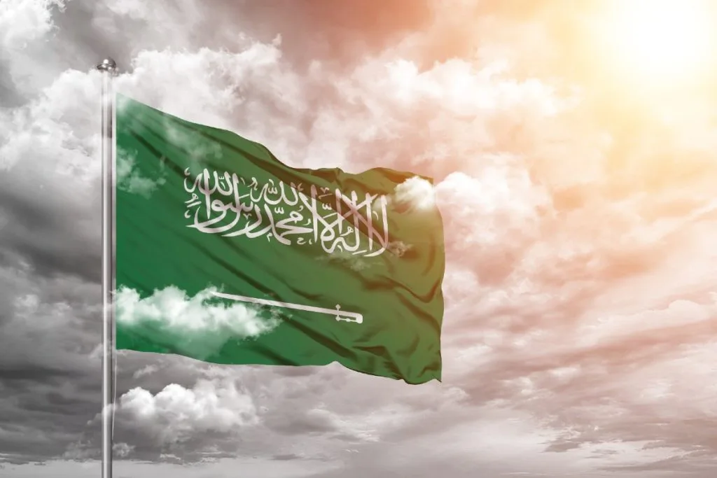 أغنى دول عربية بالنسبة لنصيب الفرد من الناتج المحلي 2024 - صورة 7