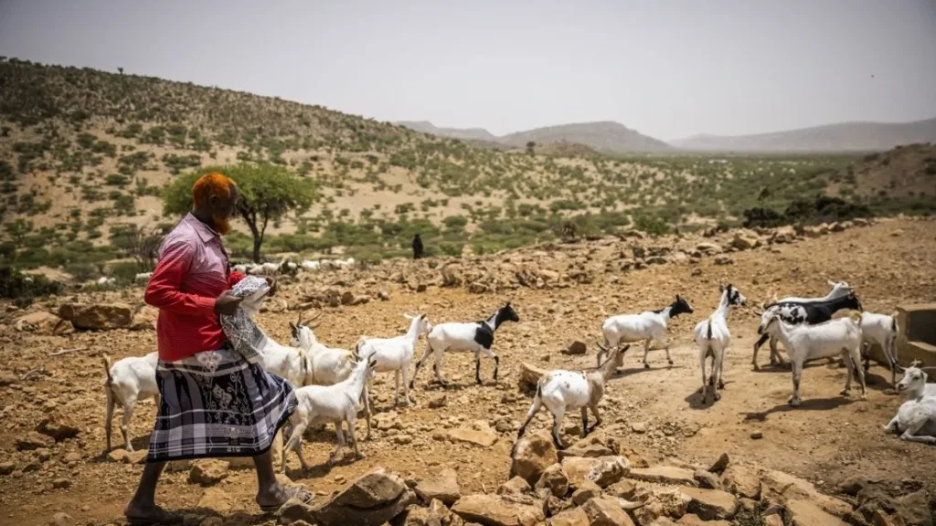 10 دول تتأثر بالتغيرات المناخية بصورة سريعة - صورة 2
