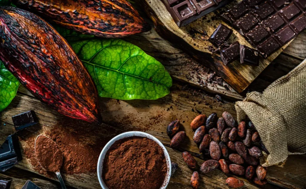 أكبر الدول إنتاجاً للكاكاو في العالم