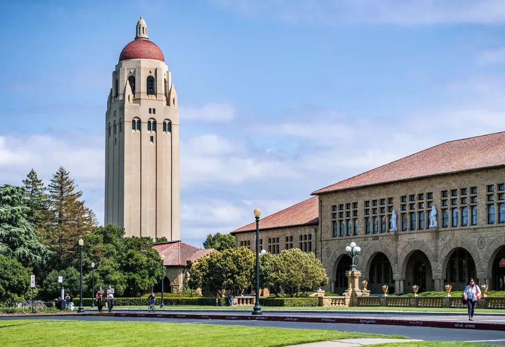 أهم التخصصات الجامعية في العالم