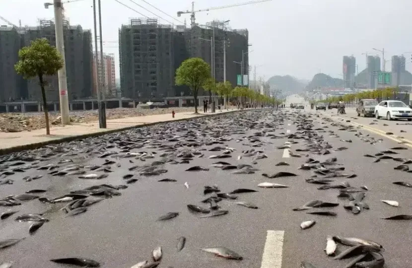 10 ظواهر طبيعية نادرة وغامضة - صورة 9