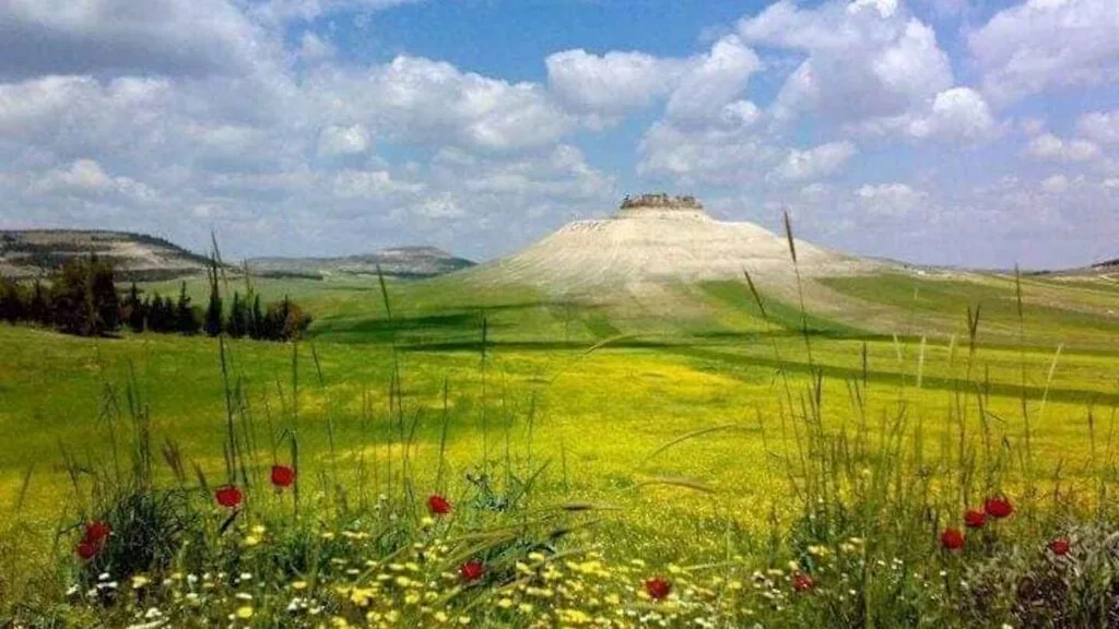 أفضل الأماكن السياحية في سوريا التي تستحق الزيارة - صورة 4