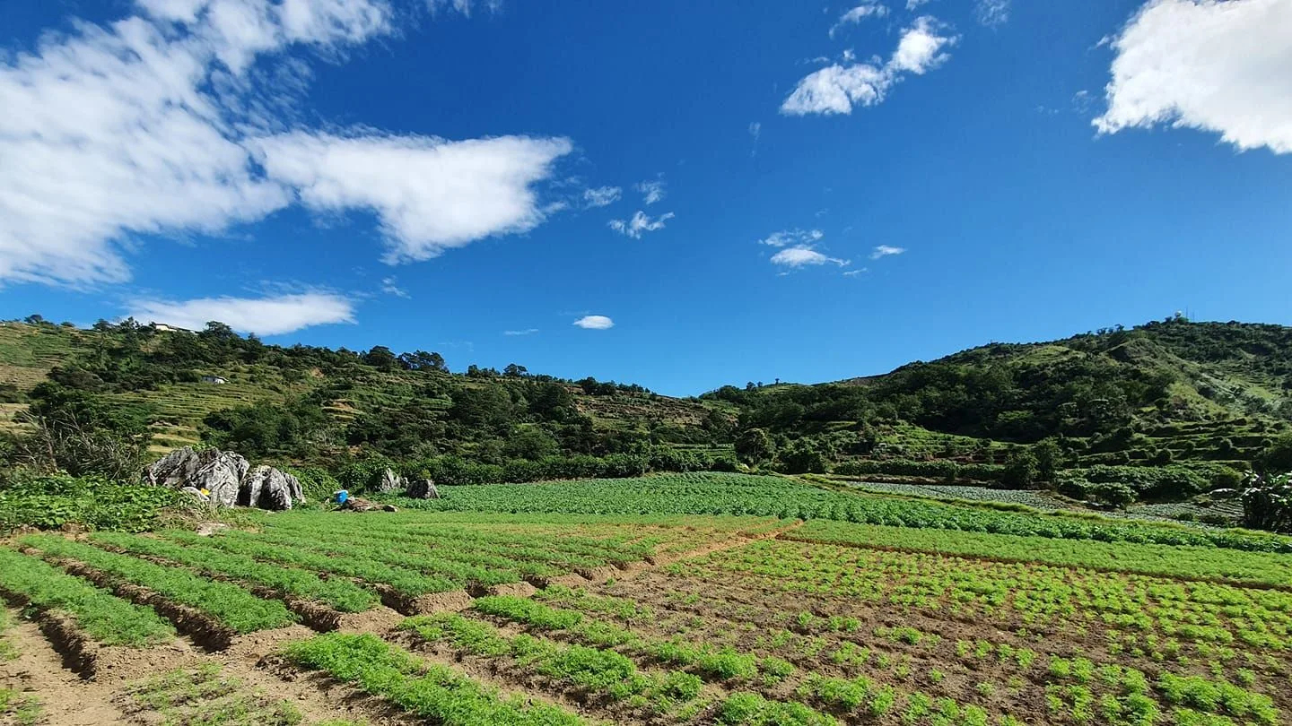 4 أفكار مشاريع زراعية عصرية مدرّة للربح في 2023