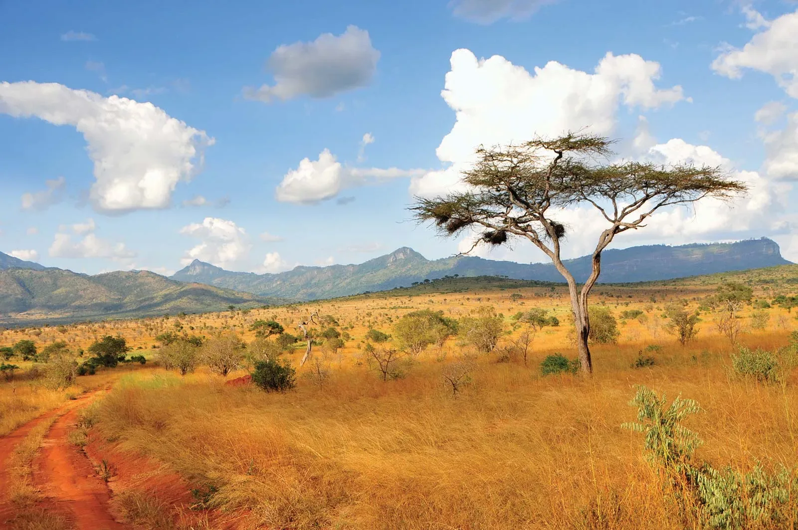 Kenya