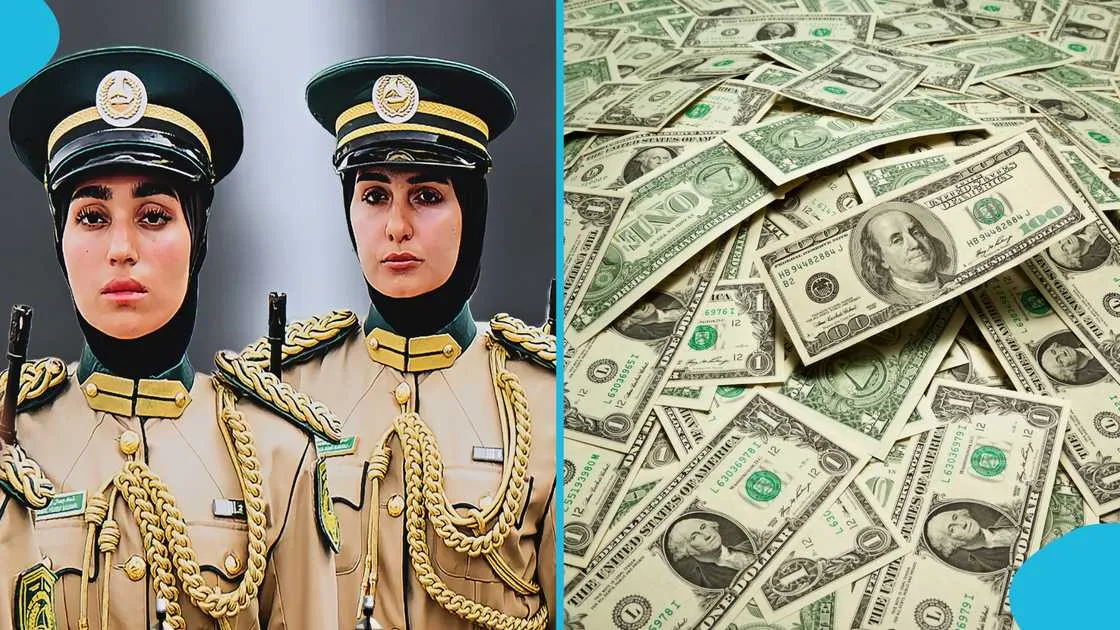 رواتب الجيش الإماراتي للوافدين: الشروط والرتب والبدلات