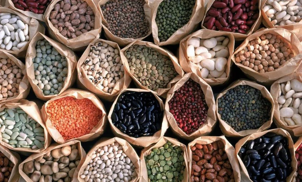 إنتاج البقوليات